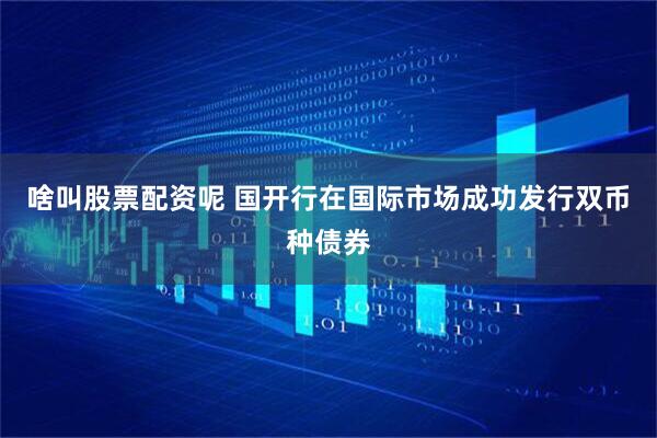 啥叫股票配资呢 国开行在国际市场成功发行双币种债券