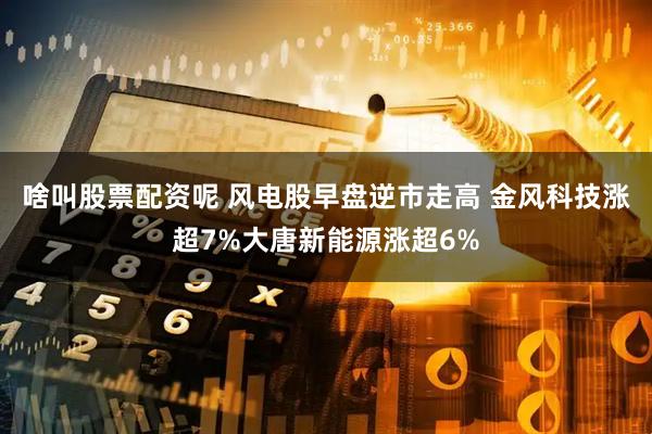 啥叫股票配资呢 风电股早盘逆市走高 金风科技涨超7%大唐新能源涨超6%